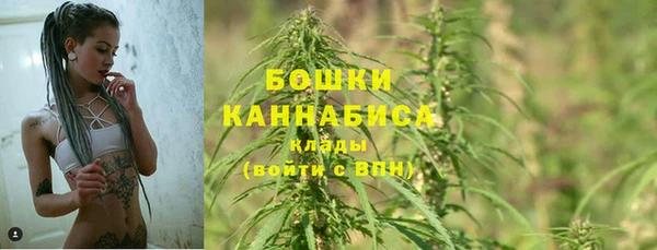 ешки Новозыбков