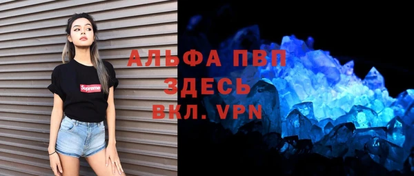 эйфоретик Новодвинск