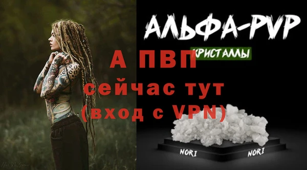 эйфоретик Новодвинск