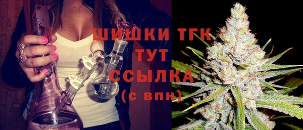 эйфоретик Новодвинск