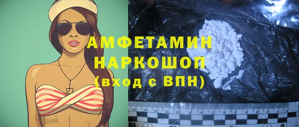 ешки Новозыбков