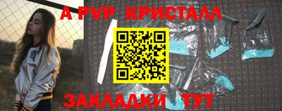 спайс Кингисепп