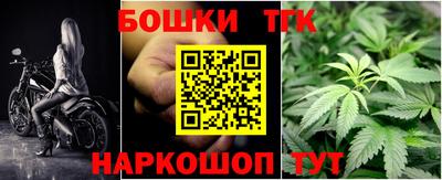 спайс Кингисепп