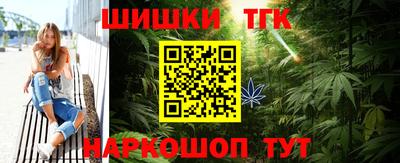 спайс Кингисепп