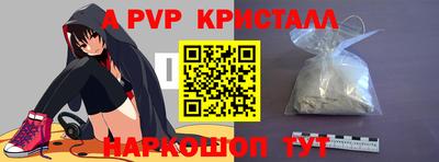 спайс Кингисепп