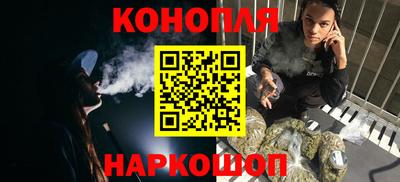 спайс Кингисепп