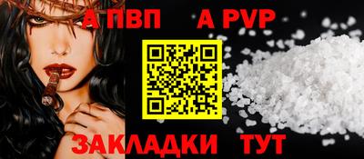 спайс Кингисепп