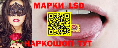 спайс Кингисепп