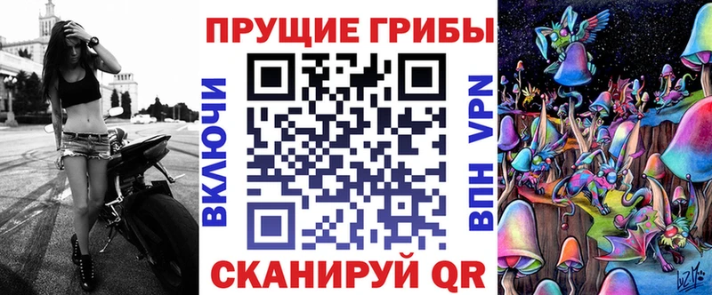 купить закладку  Переславль-Залесский  Галлюциногенные грибы Cubensis 